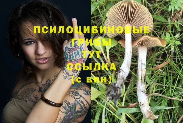 а пвп мука Балабаново