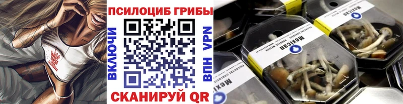 Псилоцибиновые грибы Psilocybine cubensis  Белозерск 